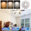 Ceiling Fan LED Reform Set 18W Adjustable Fan Light Replacement 7