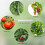 Clip de Support de croissance verticale pour plantes grimpantes, 5