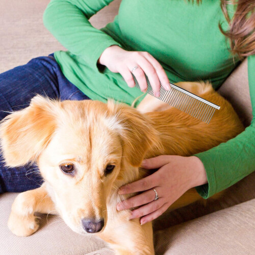 Pet Lover's Delight, Μεταλλική χτένα σκύλου για ξεμπέρδεμα χωρίς προβλήματα και λάμψη στο 1