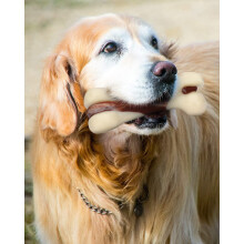 Interaktives, knochenförmiges Hundespielzeug – die sichere Alternative zu echten Stöcken für mittelgroße Hunde bis 22,7 kg (50 Pfund).