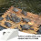 Turtle Basking Platform with Ramp and Filter for Comfortable Sunbathing Dock in Turtle Tanks 3