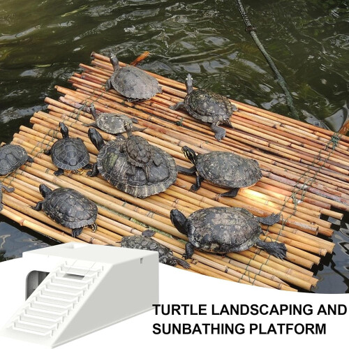 Turtle Basking Platform with Ramp and Filter for Comfortable Sunbathing Dock in Turtle Tanks 2