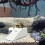 Turtle Basking Platform with Ramp and Filter for Comfortable Sunbathing Dock in Turtle Tanks 2