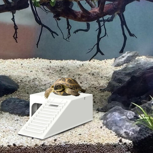 Turtle Basking Platform with Ramp and Filter for Comfortable Sunbathing Dock in Turtle Tanks 1