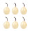 Ensemble de 6 répliques de poire StableSimulation pour les 1