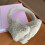 Cache-oreilles chaud en peluche, cache-oreilles en forme-kaki 7