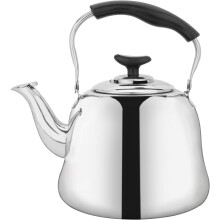 Tetera de acero inoxidable de grado alimenticio, ofrece un atractivo estético y un calentamiento rápido, el mango de agarre frío garantiza un