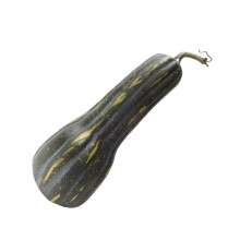 Foams Pumpkins Vegetable for Thanksgiving Basket-dark green