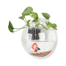 Acvariu decorativ, acvariu suspendat, cu coș de plantare, ideal pentru peștișori aurii și plante hidroponice, montat pe perete, creativ