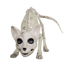 Decorazione di Halloween: Scheletro di gatto in plastica con articolazioni snodabili, ideale per feste a tema horror, bomboniere e decorazioni per