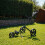 3 Wheeled Golf Push Trolley Aluminum & Plastic Foldable & Lightweight 9