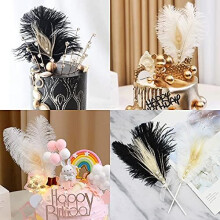 Feather Pens for DIY Clothes, Craft Feathers, Cruelty-Free Ostrich Feathers for Creative Projects (2 Pcs)
