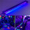 Delicate USB Powered Blacklight Lamp Delicate Lighting-2 pack 7
