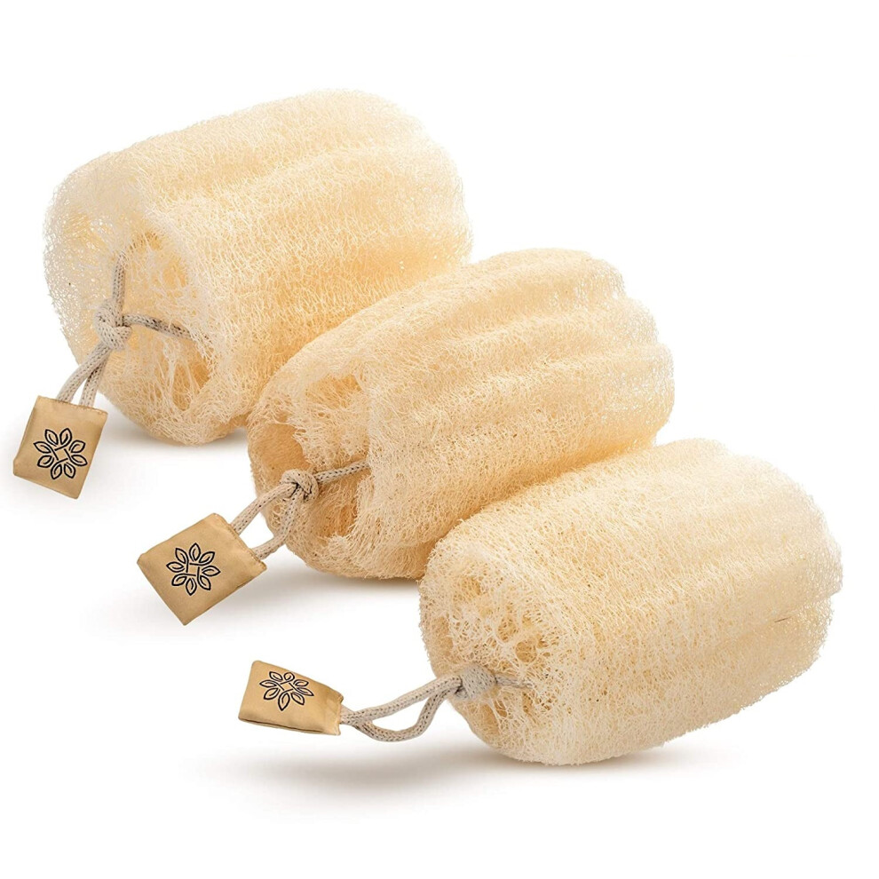 Enhanced Product Absorption Exfoliating Shower Bath, Natural Loofah Sponges for Radiant Skin, Dead Skin Remover, Eco Friendly Exfoliator, Non-Toxic