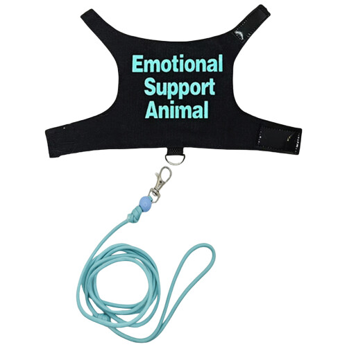 Ensemble de harnais pour petits animaux, harnais-bleu