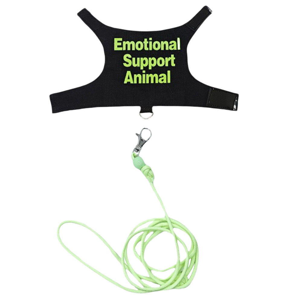 Regulable Lizards Harnesses Set Outdoor Walking Leashes-green