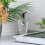 Baltus Sences Range Reed Diffuser 150ml - Beau De Jour 2