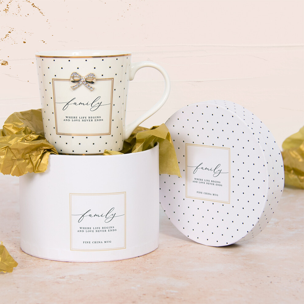 Lesser & Pavey Fine China Mug With Gift Box Family Life Polka Dot Design & Sentimental Quote
