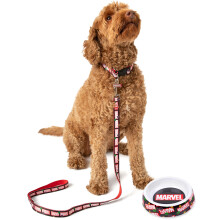 (Small) Marvel Bowl , Collar , Charm and Lead Gift Set (Unisex Black)