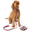 Marvel (Small) Marvel Bowl , Collar , Charm and Lead Gift Set (Unisex Black) 1