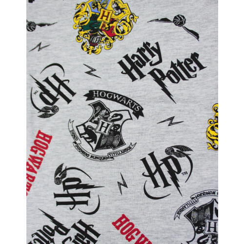 Harry Potter (Small) Harry Potter Lounge Pants (Mens Grey) 2