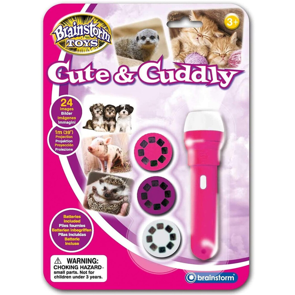 Brainstorm Toys E2043 Cute & Cuddly Torch And Projector Dark
