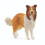 Schleich Schleich Farm Life Collie 1