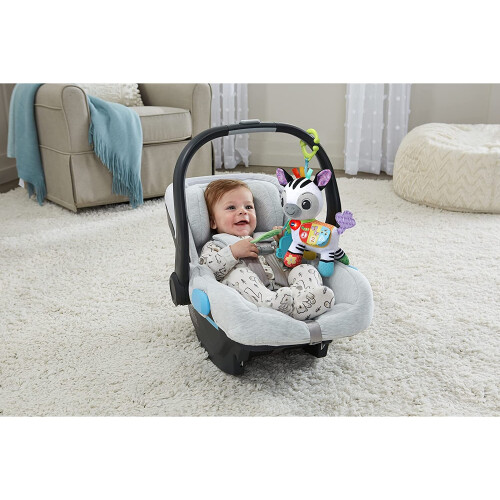 VTech Vtech On-The-Go Soft Zebra 1