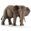 Schleich Figur - Schleich - Afrikanischer Elefant Weiblich - Grau - 15cm - Kind 1