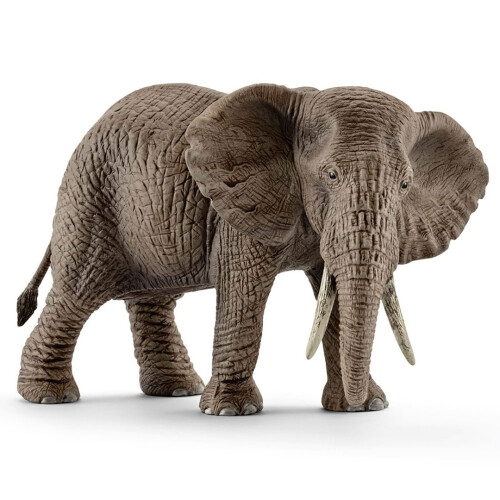 Schleich Figur - Schleich - Afrikanischer Elefant Weiblich - Grau - 15cm - Kind