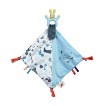 Peter Rabbit Bunny Baby Comforter Blanket – Soft Toy Unisex Baby Gift Featuring Detachable Silicone Teether, Engaging Textures & Colours