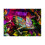 Ravensburger Ravensburger Colourful Animals Chameleon 500 Piece Jigsaw Puzzle 2