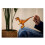 Schleich Schleich Dinosaurs Velociraptor 2