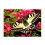 Ravensburger Ravensburger Butterfly Jigsaw Puzzle (500 Pieces) 2