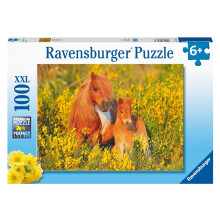 Ravensburger Pony Shetland XXL Puzzle Of 100 Pieces - 49 x 36 CM