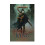 Warhammer Games Workshop Black Library: The Hollow King PB Book BL3081 - Tabletop Miniatures Wargame 1