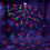 RED5 LED Disco Light 2