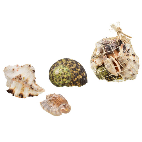 Kandy Toys 500g Shells In Net Bag