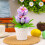 Unique Speckled Eggs Tree Decoration Potted Plant-Green 6