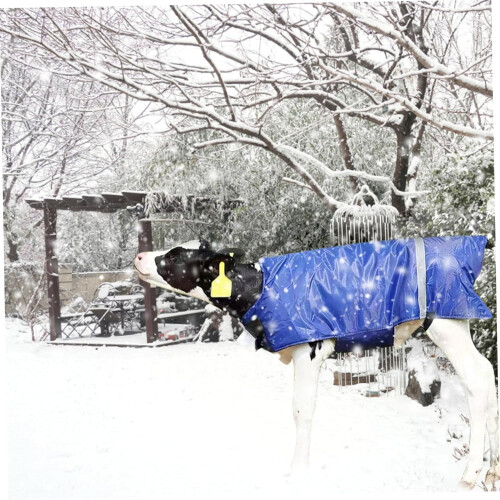 Warm Goat Blanket with Reflective Stripes Windproof 3 Layers for Winter 2