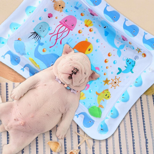 Sensory Water Mat  Foldable Cat Water Mat, Thickened Inflatable Pad for Pets 1