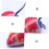 Windup mouse for toddlers Promotes physics learning Simple winding mechanism Random movement 4
