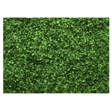 Computer Printed Backdrop for Lightweight Vinyl Material, High Resolution Non Reflective, Natural Green Lawn Photography Birthday Background Green Lea