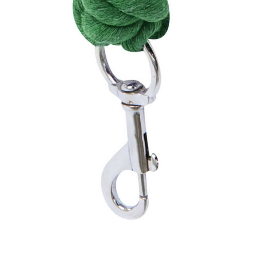 Roma (2m, Green) Roma Twisted Dog Lead 2