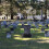 Vase à fleurs de cimetière, pour centres de table,-4 pièces 6