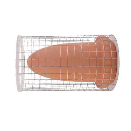 cone camarão - 2