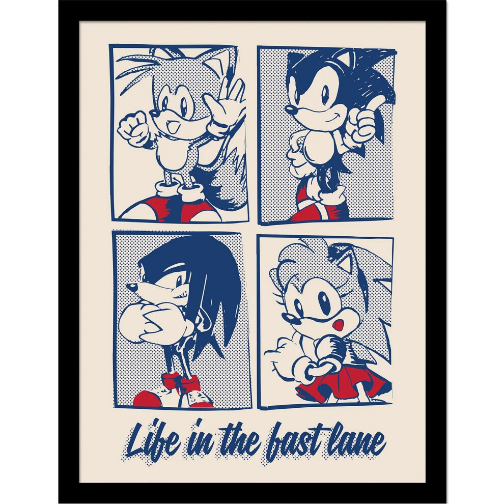 New Sonic The Hedgehog Life In The Best Lane Framed Poster