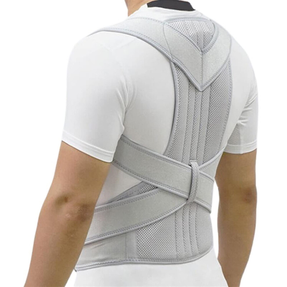 Silver Adjustable Posture Corrector Lumbar Back Brace Breathable Spine Support (, M)