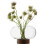 LSA International LSA Oblate Glass Vase Lantern 19.5cm with Walnut Base Clear 2