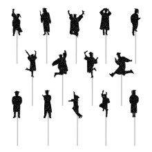 Graduation Cupcake Toppers, Cake Decorations Set of 14 Food Decor Picks